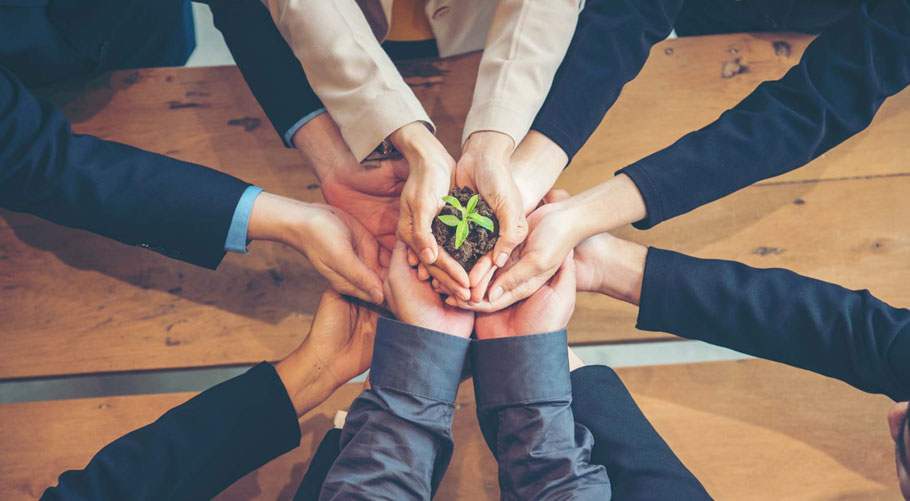 Nanjing Liwei Chemical Co., Ltd